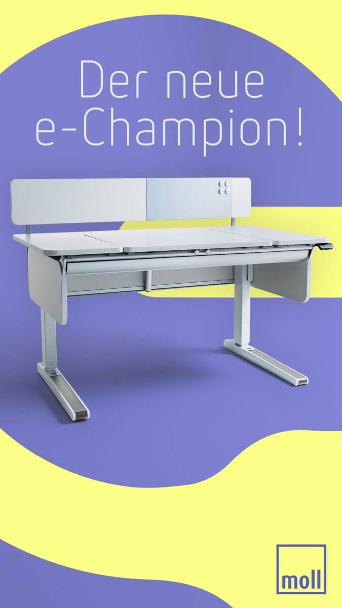 V3 2160×3840-Totale_lila_champion